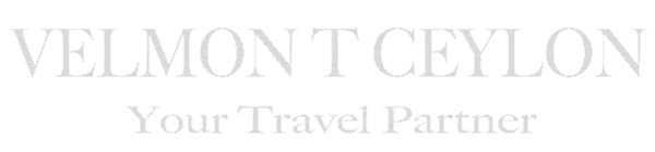 Velmont Logo