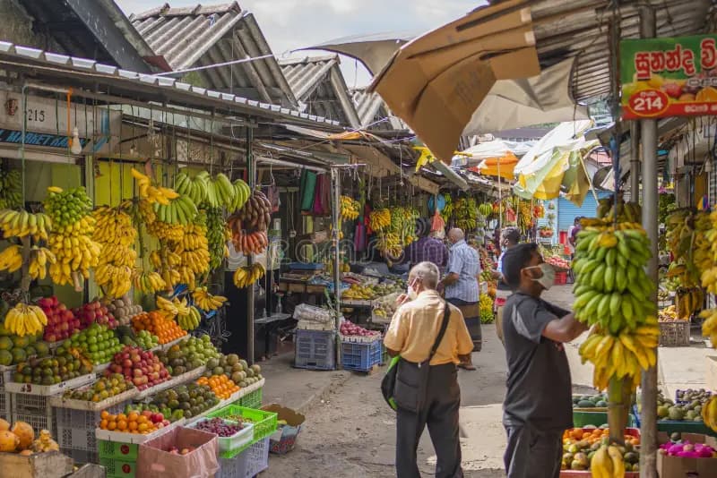 Southern Migration & Artisanal Bites