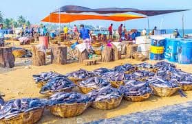 Coastal Catch & Southern Spices