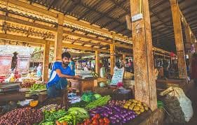 Sacred Gopurams & Northern Markets